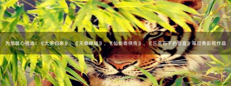 久久秋霞电影网
